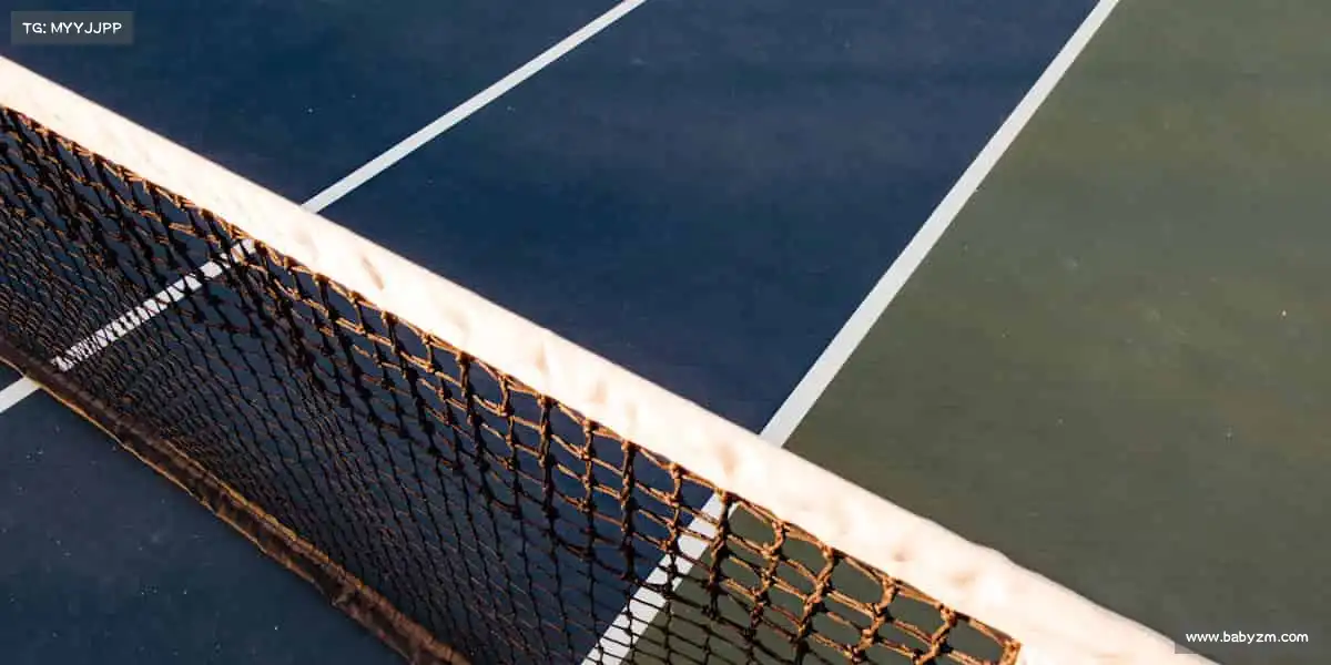 行业领先的理由